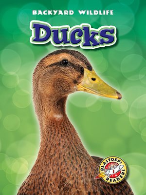 cover image of Ducks